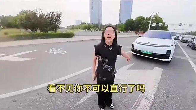 后续：女司机气到流产公布完整行车记录仪pg电子试玩入口河北女司机与骑手冲突(图3)