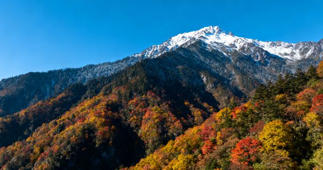 线：宽窄巷子+熊猫基地附行程安排pg电子中文模拟器成都3天旅游路(图4)